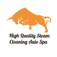 High Quality Steam Cleaning Auto Spa